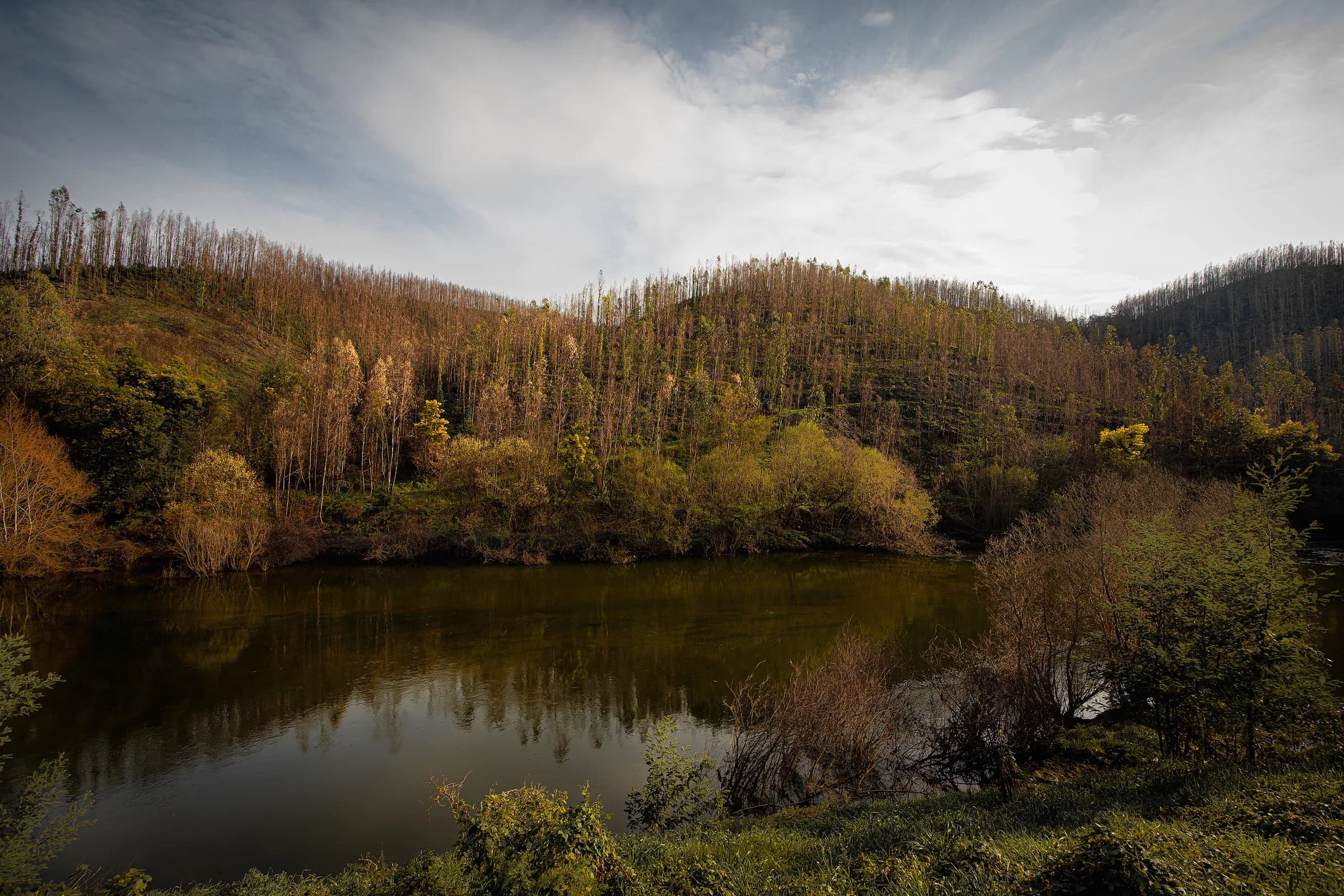 O Vale do Vouga à porta